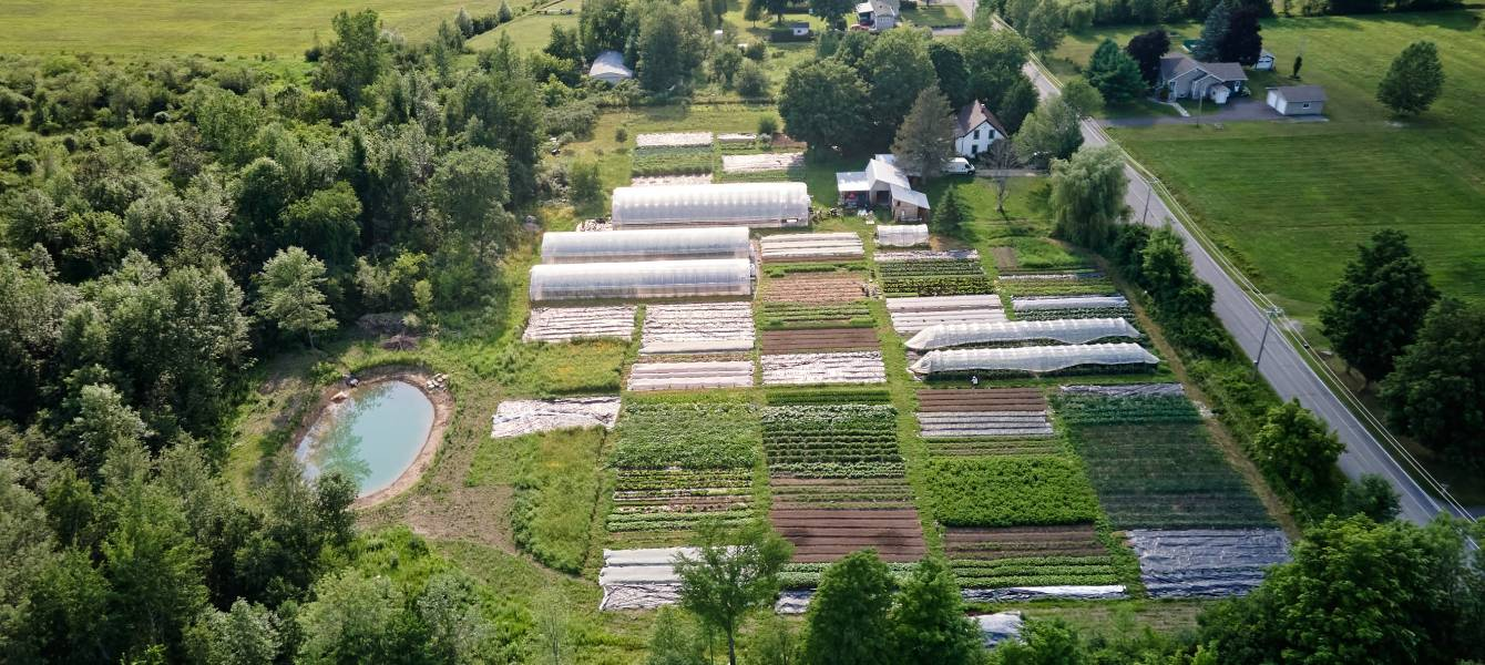 You are currently viewing How to start a successful market gardening business