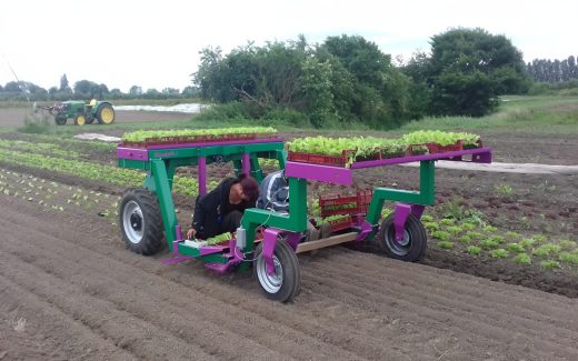 Enjambeur plantation électrique ponchon