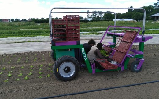 Enjambeur électrique plantation Ponchon